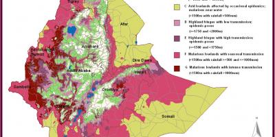 Etiyopya'da sıtma göster 